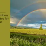 Healing Rainbow Bridge Quotes for Comfort