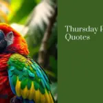 Thursday Parrot Quotes