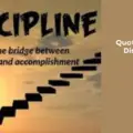 Quotes About Discipline