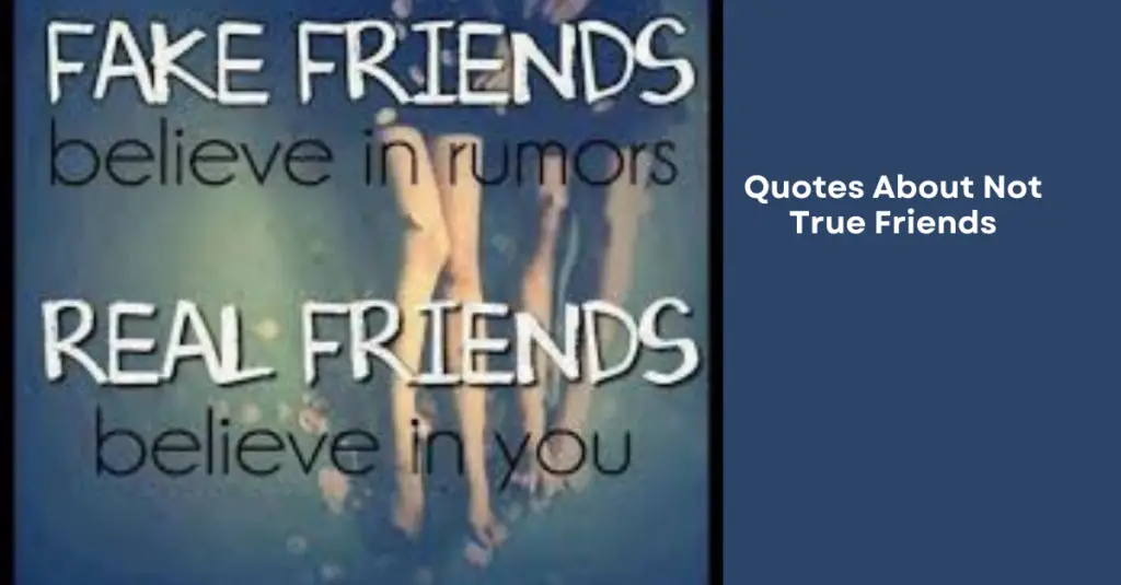 Quotes About Not True Friends