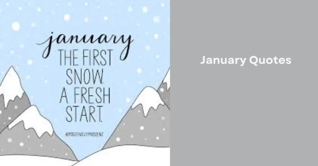 January Quotes